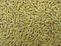 Organic millet