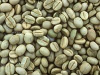 Vietnam Robusta Coffee Bean
