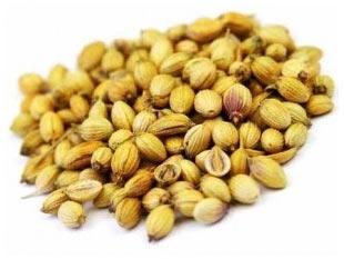 Coriander Seed