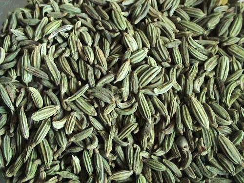 Fennel seeds, Cultivation Type : Natural