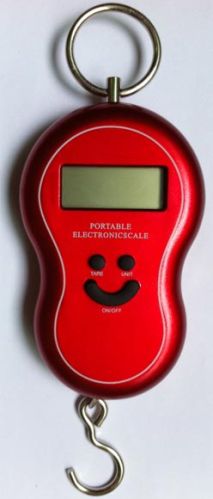Electronic Portable Scale