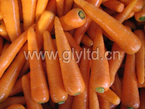 Carrot