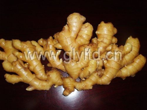 Ginger, Cultivation Type :Organic