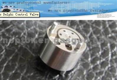 Delphi Control Valve