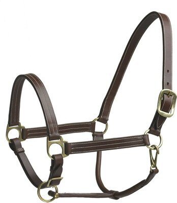 Nylon Horse Halters, For Lead An Animal, Pattern : Plain