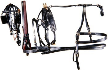 Polished Leather Horse Harness Set