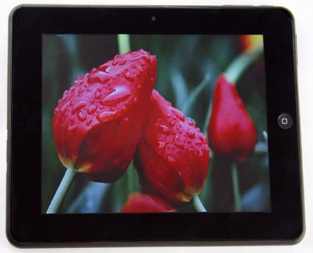 Tablet PC, Screen Size : 7 inches