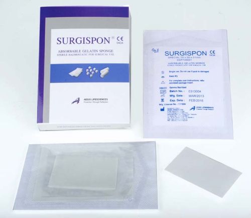 Absorbable Gelatin Sponge (Special)