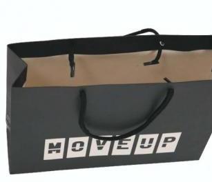 Offset Printing Shopping Paper Bag