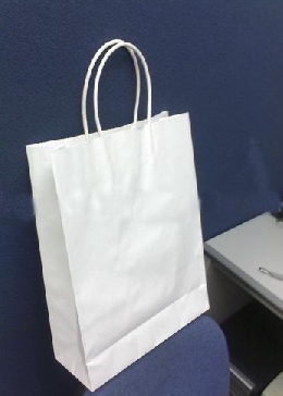 White Paper Bag