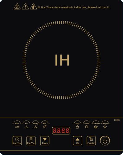 Aesthetic, Economic Induction Cooker