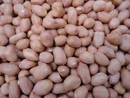 Raw Peanut Kernels