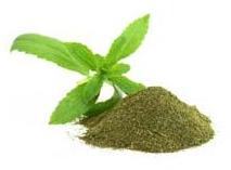 Green Stevia Powder