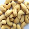 Cashew nut