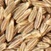 Cumin seed