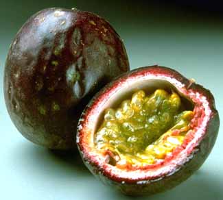 Passion Fruit