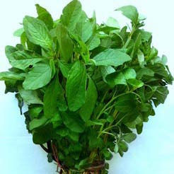 Amaranth Leaves