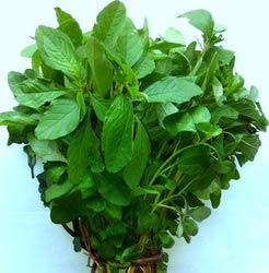 Amaranth Leaves (bhaji Sag)