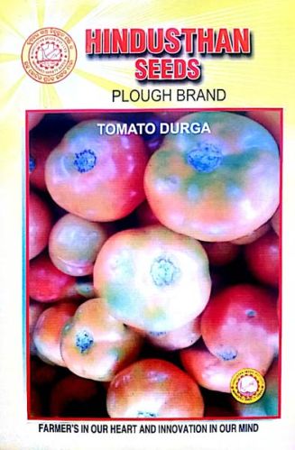 Plough Brand Tomato