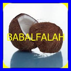 JUTE COCONUT, Brand Name : BABAL FALAH FOOD STUFF TRADING