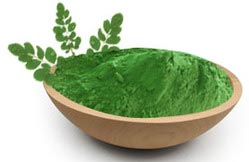 Powdered Moringa Leaves