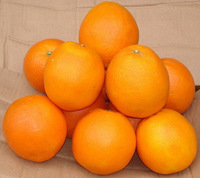 Orange, MOQ : 100 Kilogram