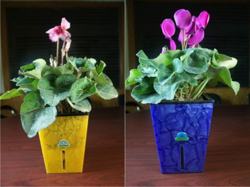 Acrylic Plastic Flower Pot, Packaging Type : colorful