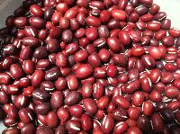 Common Red Beans, Color : Light Brown, Packaging Type : Gunny Bag For Cooking