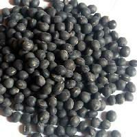 Black Soybean