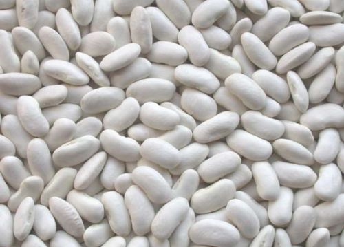 White Kidney Beans,Mung Beans,Lentil Beans, Soybean, Pinto Beans, Green Beans, White Beans, Navy Beans, Lima Beans,Black Beans, Chickpeas