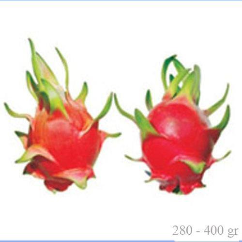 Dragon fruit
