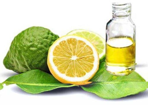 Organic Bergamot Oil, For Human Consumption, Packaging Type : Glass Bottels