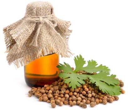 Coriander Oil, Purity : 100%