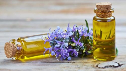 Rosemary Oil, Packaging Type : Bottle