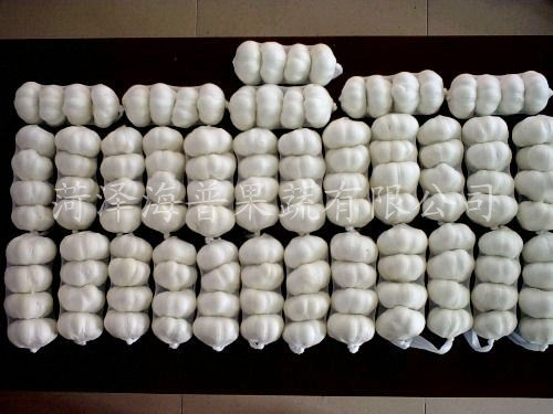 Fresh garlic, Cultivation Type : Organic