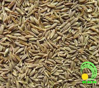 Cumin Seeds, Jeera
