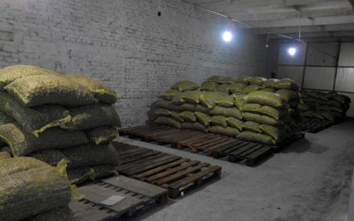 Walnut Kernel - Mix Walnuts