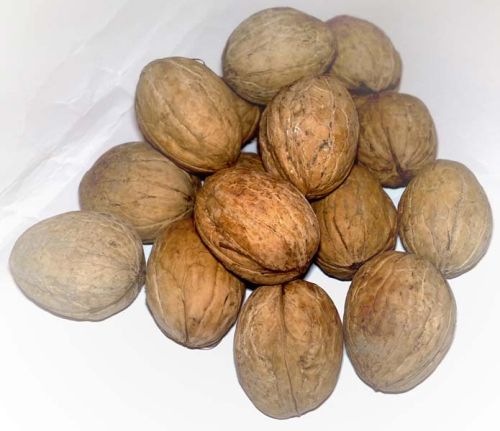 Inshell Walnuts