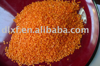 Red lentils