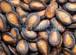 Black Melon Seeds Nuts
