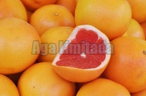 Grapefruits