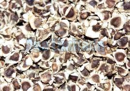 Moringa seeds, Shelf Life : 1 Year