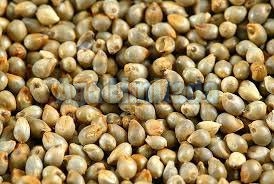 Pearl millet, Application : Cooking