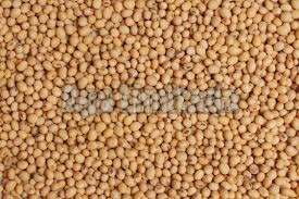 Sorghum, Moisture Ratio : 12%