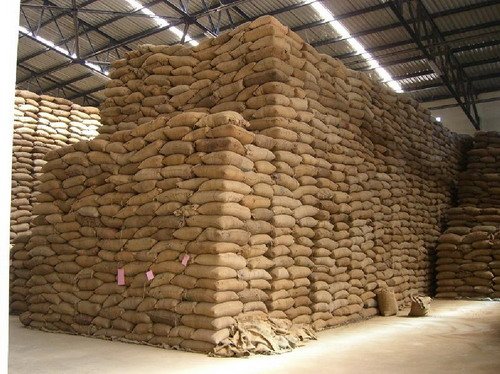 Robusta Coffee, Packaging Type : Plastic Bag