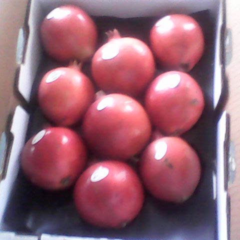 Pomegranate