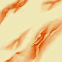 Ivory Matt Series Floor Tiles