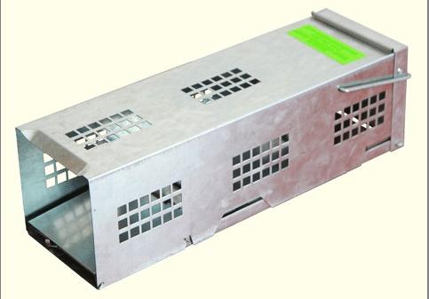 Live Rat Trap
