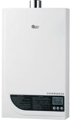 Gas Water Heater