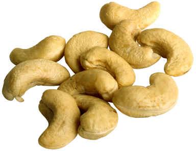 Cashew